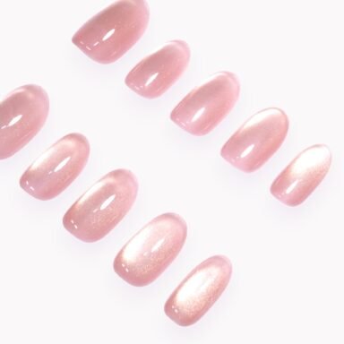 transparent Photoroom 22